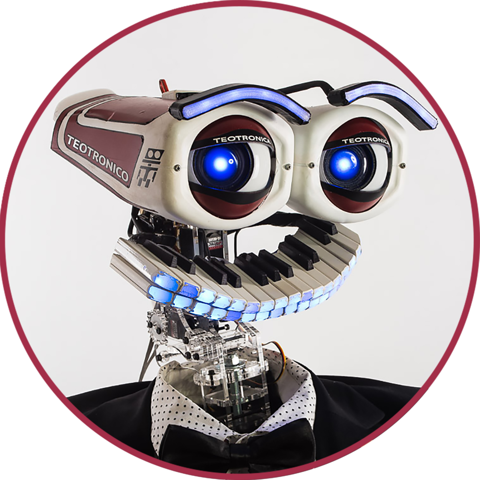 Teotronico il robot pianista project image