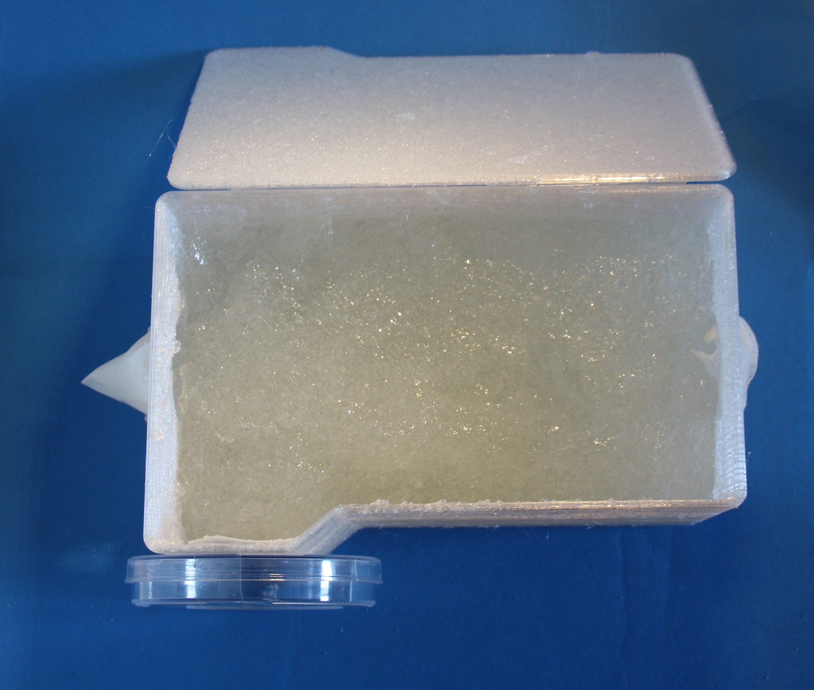Prototipo per la rimozione delle micro-plastiche nei mari project image