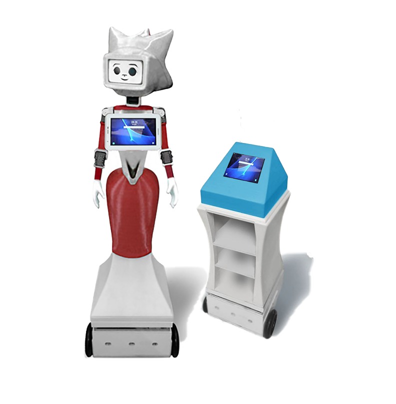 Social Robot and autonomous robot MARRtino for support and prevention covid 19 project image