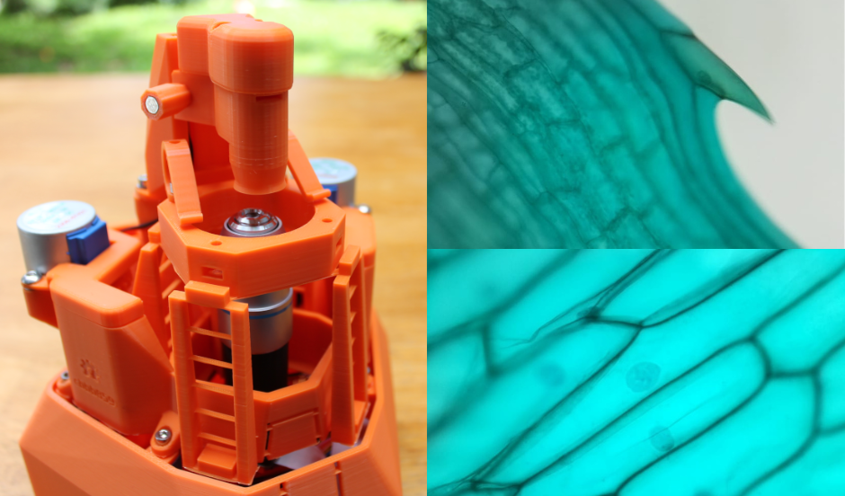 ICGEB Lab Makers: helping everyone explore biology! project image