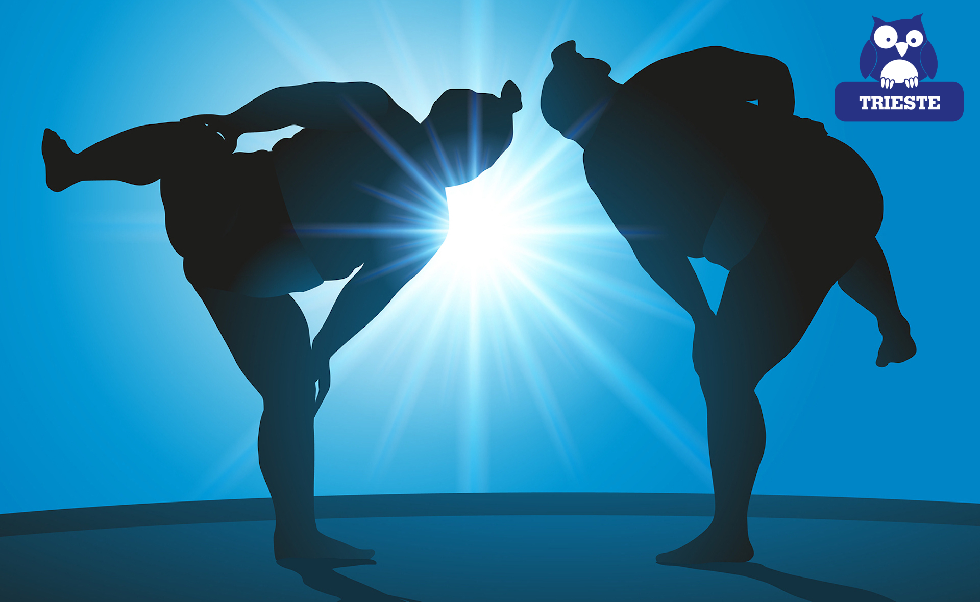 SUMO SCIENCE project image